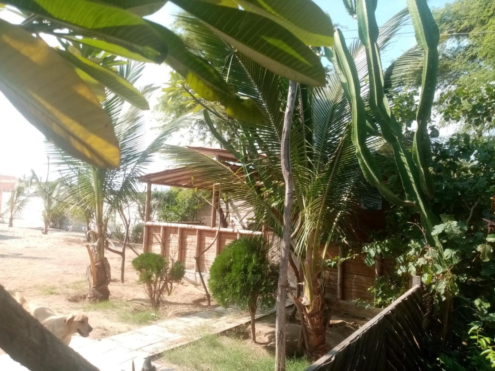 זוריטוס La Casa De Diego מראה חיצוני תמונה